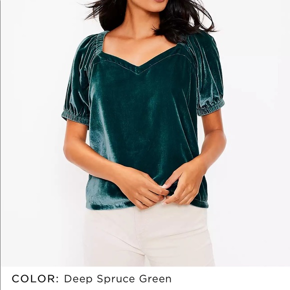 LOFT Spruce Green Velvet Top - Picture 1 of 2